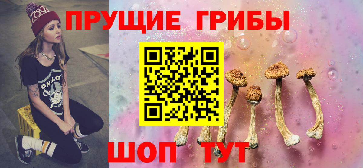 Псилоцибиновые грибы Psilocybine cubensis  Вход с VPN  Россия 