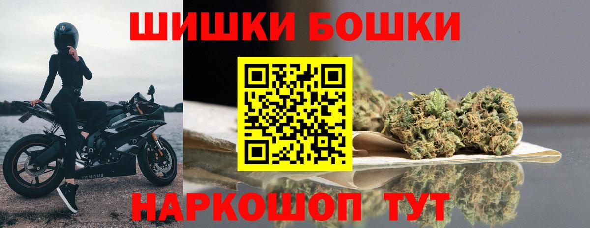 Каннабис сатива Россия